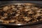 Recco Focaccia cheese italian flat bread wood oven baked traditional plate