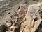 Receding shoreline at Big Bear Lake, CA