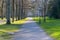 Receding view of an empty path in a park