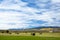 Recently harvested hay bales on farmland in Colorado