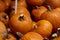 Recently harvested orange pumpkins in a random pile in miami