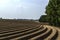Recently planted potato field in South Limburg`s hill country