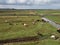 Reclaimed farm fields on salt marshes in Norfolk