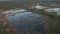 The reclaimed swamp became a swampy meadow surrounded by forest. Nesting place for birds