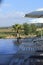 Recliners and beach umbrellas poolside