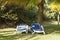 Reclining chairs on grass garden with palm trees in Cuba