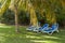 Reclining chairs on grass garden with palm trees in Cuba