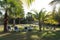 Reclining chairs on grass garden with palm trees in Cuba