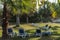 Reclining chairs on grass garden with palm trees in Cuba