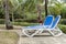 Reclining chairs on grass garden with palm trees in Cuba