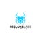 Recluse security technology logo design