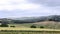 Recognizable Tuscan landscape of a long line of cypresses along the road to the farm and cultivated fields