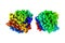 Recombinant human muscle fatty acid-binding protein. Space-filling molecular model. Rainbow coloring from N to C