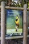 Reconnecting with nature green turquoise information sign, Kirstenbosch