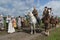 Reconstruction of the events of world war II, participants on horseback. Russia, Kirov region 23 June 2019