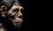 The reconstruction of Homo naledi - primitive Homo sapiens. The face of a caveman.