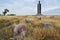 Record-breaking statue Sheep shepherd of Frumushika-Nova, Ukraine