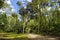 The recreation area in the Ocala National Forest located in Juniper Springs Florida