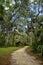 The recreation area in the Ocala National Forest located in Juniper Springs Florida