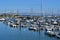 Recreation boats on Mondego river marina