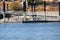 Recreational area of Quarry Lake, Fremont, California