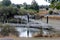 Recreational area of Quarry Lake, Fremont, California