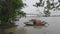 Recreational Boats on the bank of river Ganges next to second Howrah Bridge in the background. Framing trees in the foreground.