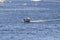 Recreational fisherman crossing New Bedford inner harbor