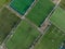 Recreational green grass active sports hockey and football fields overhead top down view. Competition court active