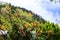 On a recreational viewpoint along the road to Furnas, Sao Miguel Island,  Azores archipelago