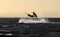 Recreational water sports: kitesurfing. Kiteboarding sportsman jumping high in the sky on windy day. Extreme sports action