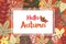 Rectangle frame on autumnal background with leaves - HELLO AUTUM