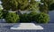Rectangle stone podium platform with natural green trees in backyard garden with shadow background. Nature and object for