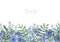 Rectangular background decorated with blue wild blooming flowers and meadow flowering herbs at bottom edge. Gorgeous