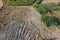 Rectangular bales of hay on the field. Hay