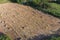 Rectangular bales of hay on the field. Hay