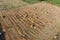 Rectangular bales of hay on the field. Hay