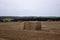 Rectangular bales of straw are scattered across the field in cloudy weather. Timely harvested wheat