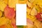 Rectangular empty card lies on fallen yellow leaves