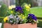 Rectangular flower pot in a park