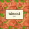 The rectangular frame on almond nut background. Vector card illustration. Nuts , almonds fruit in the shell, whole