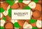 The rectangular frame on hazelnut background. Vector card illustration. Nuts , walnut fruit in the shell, whole, shelled