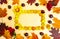 Rectangular frame made of yellow chrysanthemum flowers. Orange and red autumn leaves of maple and oak, rowan berries bunches and