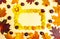 Rectangular frame made of yellow chrysanthemum flowers. Yellow and brown autumn leaves of maple and oak, as well as chestnuts on