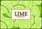 Rectangular label on citrus lime background. Vector card illustration.