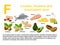 Rectangular poster with food products containing vitamin F. Linolenic and arachidonic acids.Medicine, diet, healthy eating,