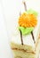 Rectangular slice of sponge layer cake with whipped butter cream frosting. Decorated with orange daisy flower green leaves