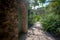 Rectilinear footpath and stone building in a Mediterranean garden