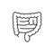 Rectum large intestines human organ thin line icon