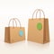 Recycle shopping brown bag